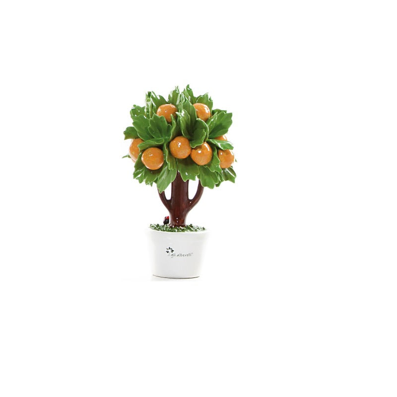 Albero arancio piccolo de Gli Alberelli - 02A