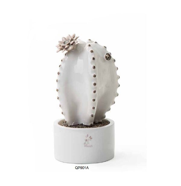 Pianta cactus de Gli Alberelli - QP901A