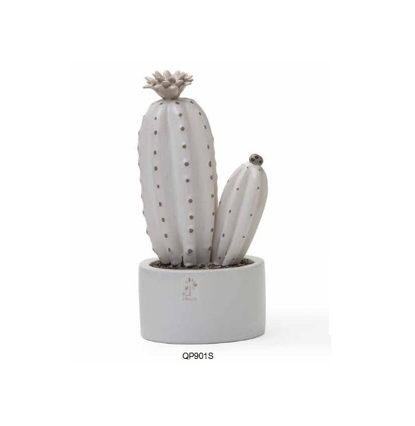 Pianta cactus de Gli Alberelli - QP901S