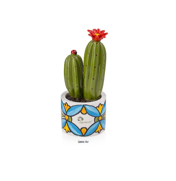 Piantina Cactus linea Positano de Gli Alberelli - Q900SV